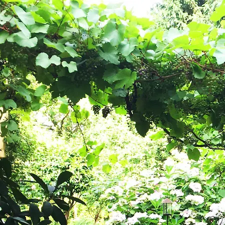 Апартаменты City-apartment Reger Privatparkplatz