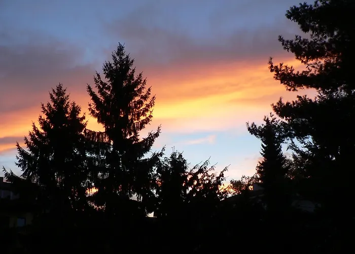 Апартаменты City-apartment Reger Privatparkplatz *