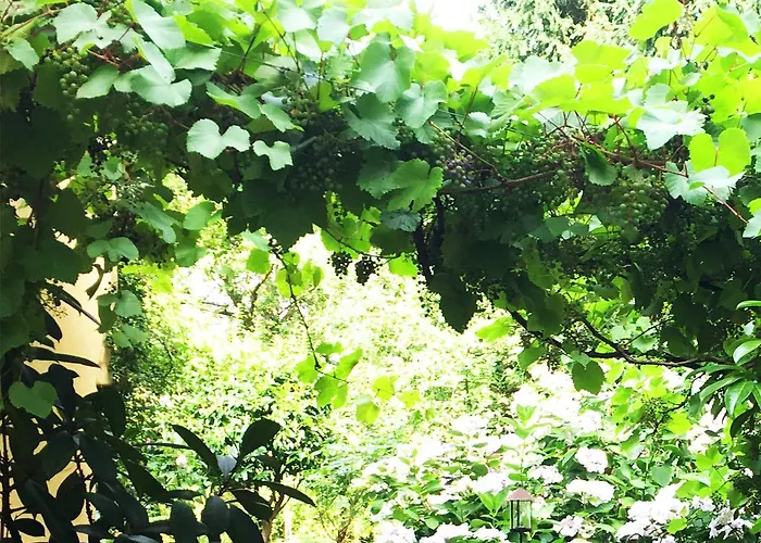 Апартаменты City-apartment Reger Privatparkplatz